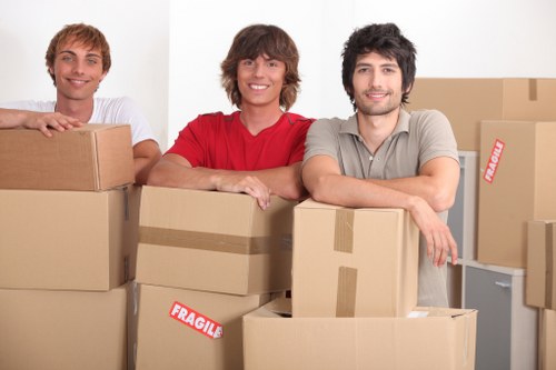 Selection of moving boxes and packing materials for Camden homes and businesses